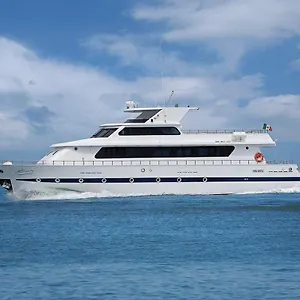 Yacht Sarah Venezia , La Giudecca Italië